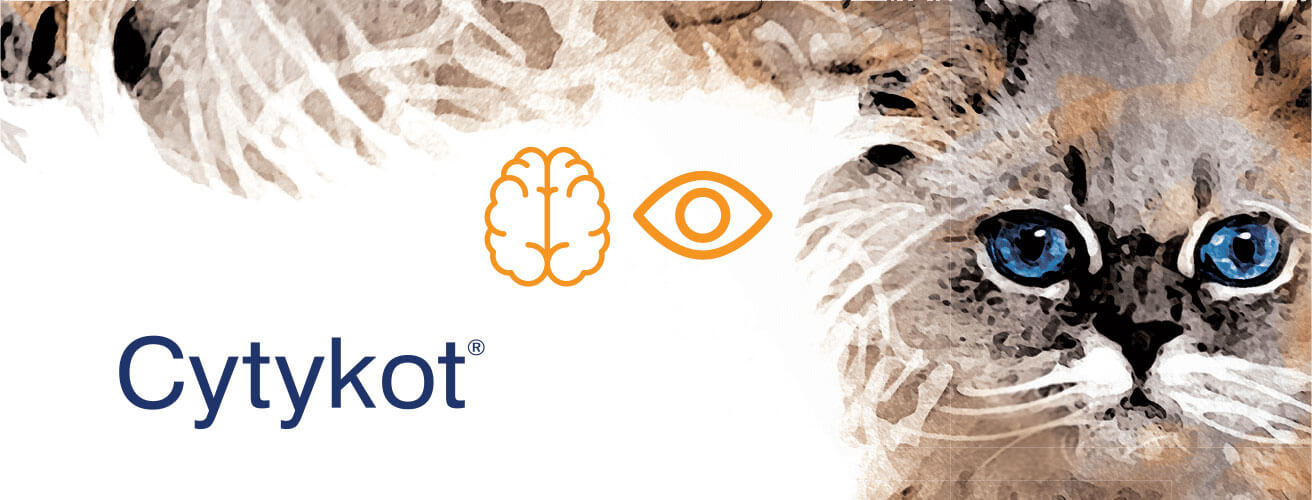 cytykot_banner2-opt1.jpg